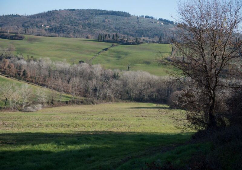 toscana-truffle-hunting-and-tasting