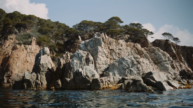 Tossa de Mar: Guided Kayaking Tour & Snorkelling - Who Will Love This Tour?