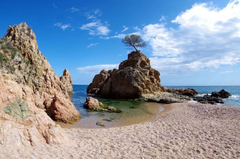 tossa-de-mar-padi-scuba-diver-certification-course