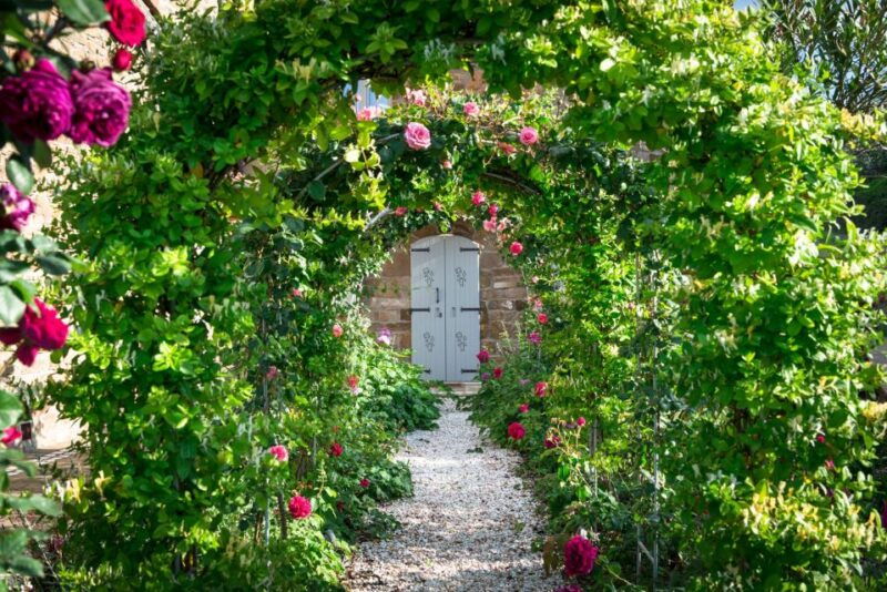 total-immersion-experience-italian-version