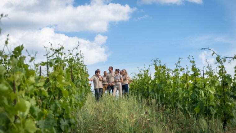 total-immersion-wine-tour-in-chianti