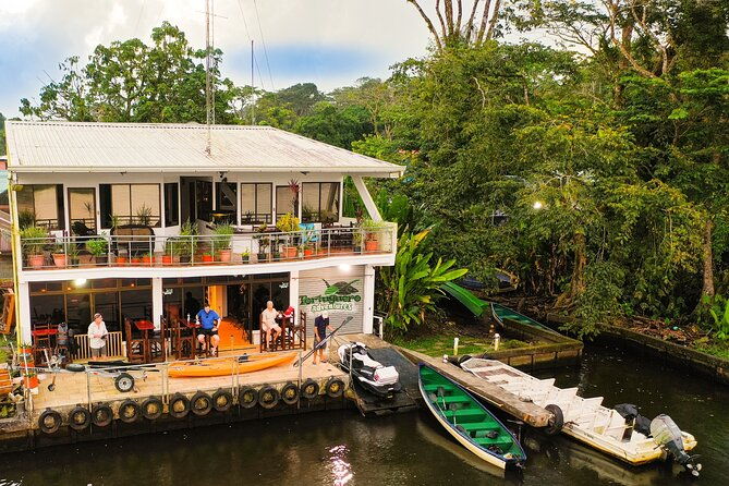 total-tortuguero-canoe-or-kayakhikenwtortugas-from-jul-oct