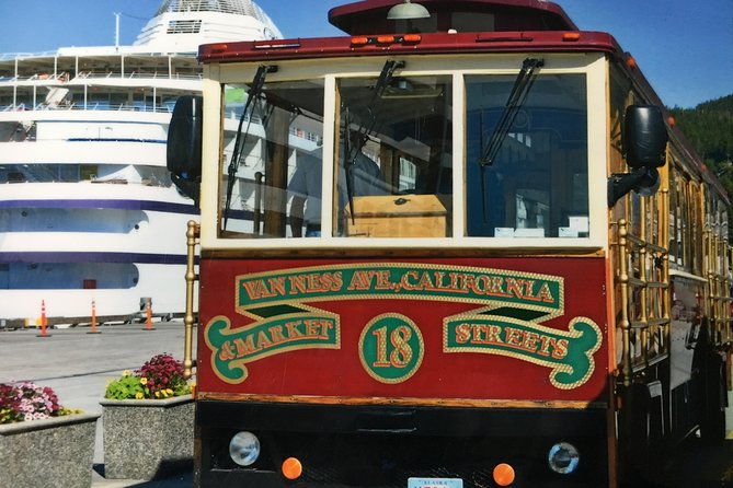 totems-city-wildlife-by-cable-car-trolley-2