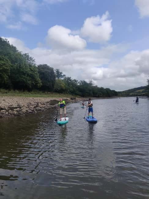 Totnes: Paddleboard adventure on the River Dart - In-Depth Look at the Totnes Paddleboard Adventure