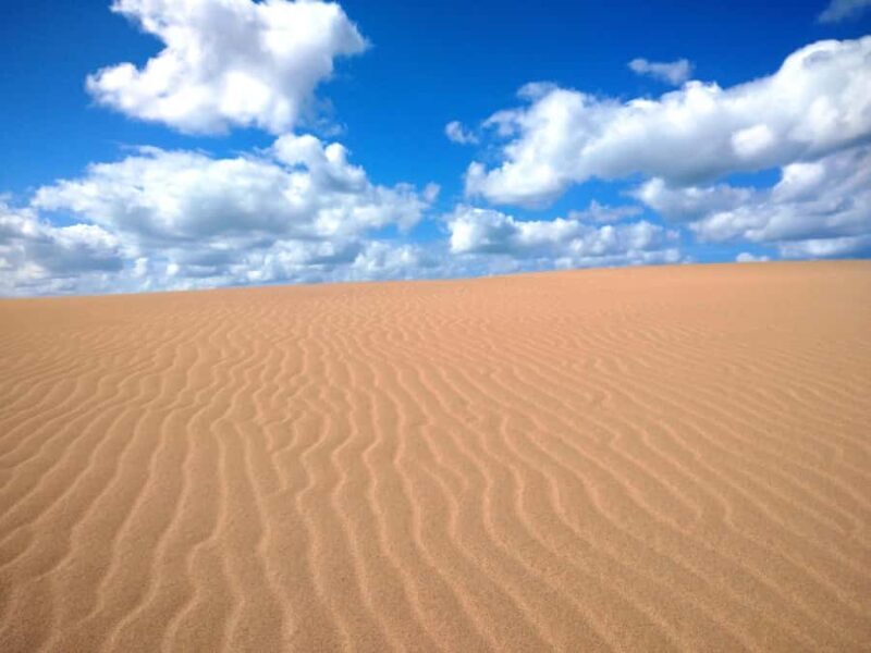 Tottori: Guided Walk through the Tottori Sand Dunes - Key Points