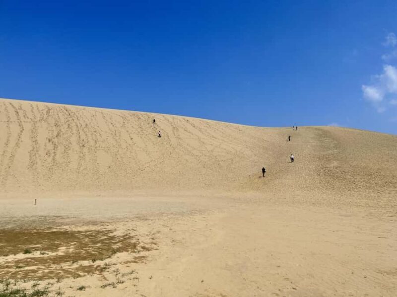 Tottori: Guided Walk through the Tottori Sand Dunes - The Experience Provider & Guide Quality