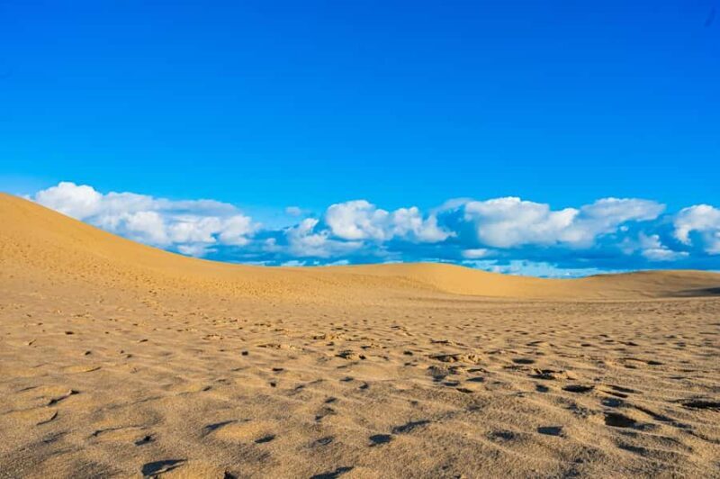 Tottori: Guided Walk through the Tottori Sand Dunes - Who Will Love This Tour?