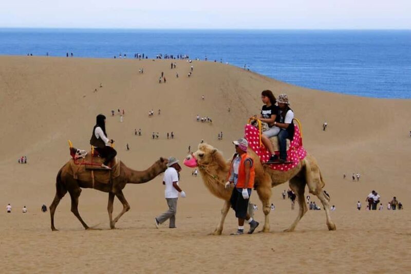 Tottori: Sand Dunes & Sea Coast Private Tour with Pickup - Transportation and Value