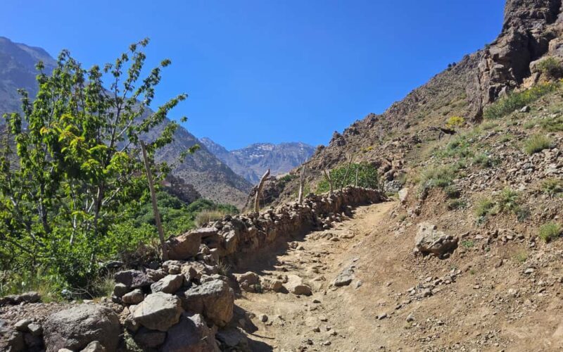 Toubkal Ascent Hike 2 Days 1 night in Atlas Mountains. - What We Love About This Tour
