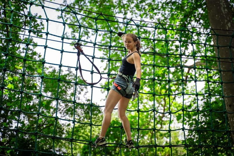 Toulon: Tree climbing course - An Overview of Ecopark Adventures Domaine de la Castille