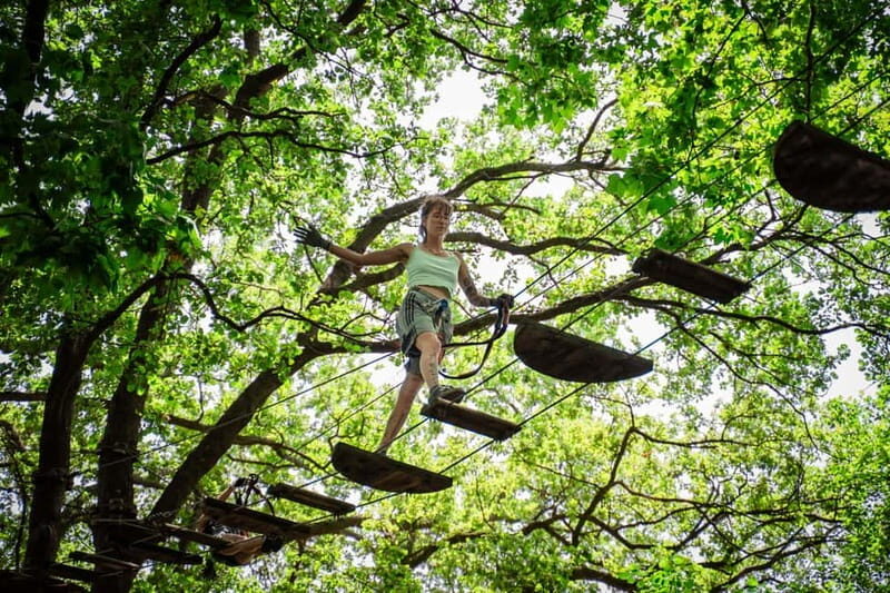 Toulon: Tree climbing course - Who Will Love This Experience?