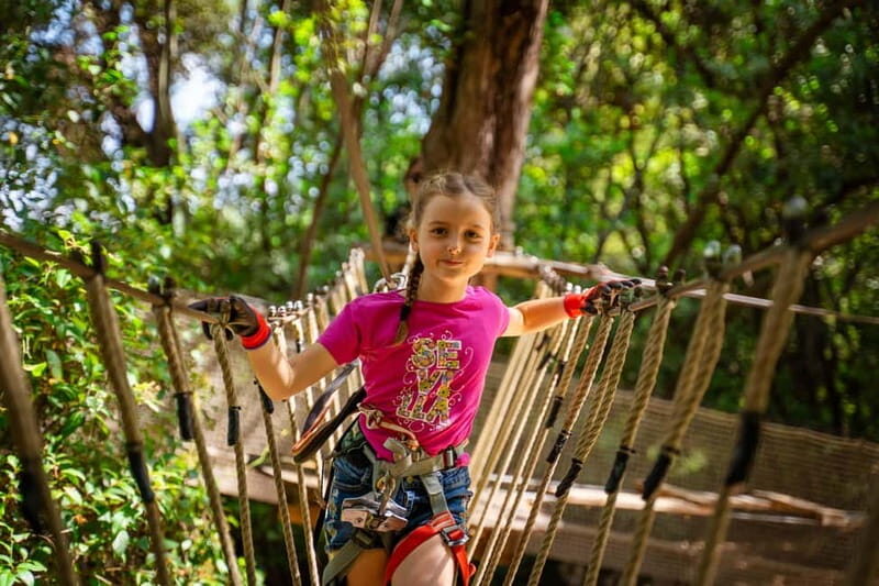 Toulon: Tree climbing course - FAQs