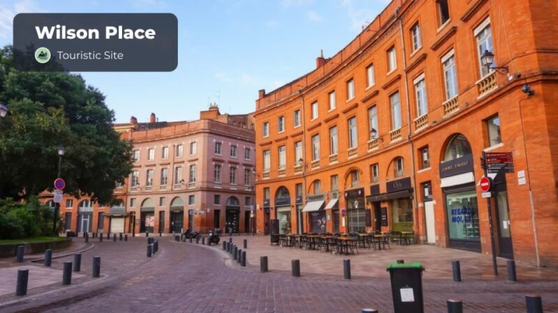 Toulouse : Walking tour with audio guide - The Experience from Reviews