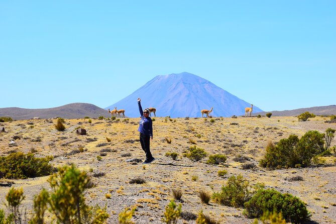 tour-10-hours-pillones-waterfall-and-puruna-stone-forest