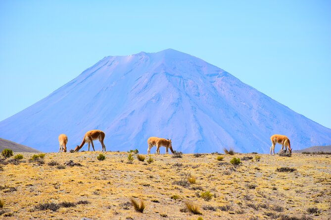 tour-10-hours-pillones-waterfall-and-puruna-stone-forest