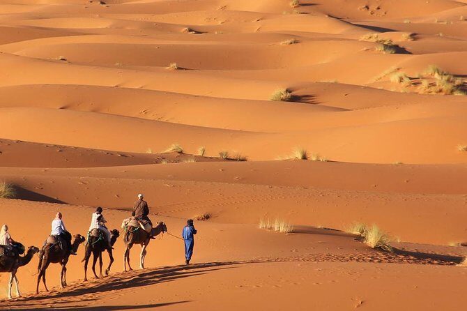 Tour 3 Days 2 Nights To Merzouga Desert from Marrakech - Who Is This Tour Best For?