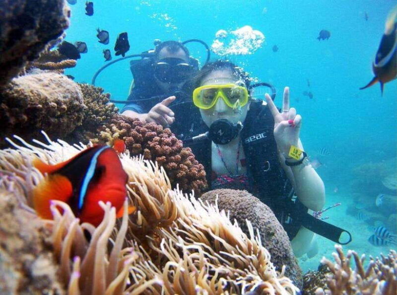 tour-3-islands-of-nha-trang-vip
