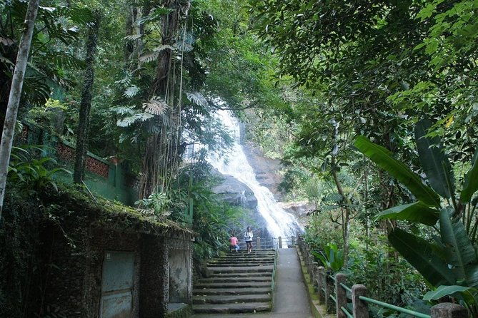 tour-7-4-hours-tijuca-national-park-and-favela