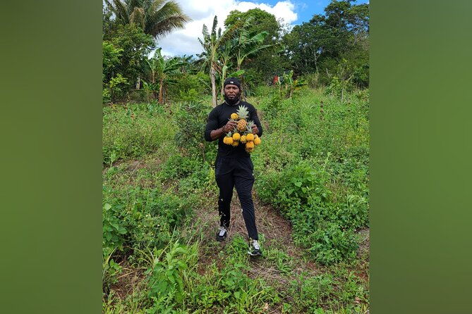 tour-a-jamaican-farm