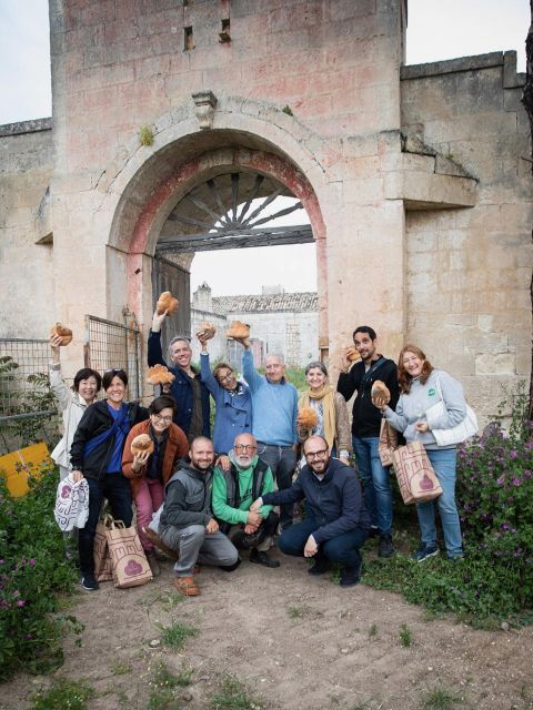 tour-among-the-temples-of-oil-and-the-patriarch-olive-trees