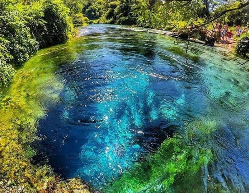 Tour and guide Blue Eye  Butrint - A Closer Look at the Blue Eye and Butrint Tour