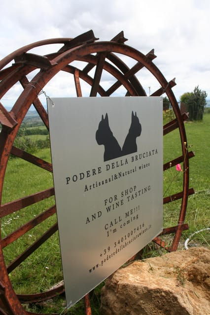 tour-and-lunch-at-the-cellar-sausages-by-the-vineyard