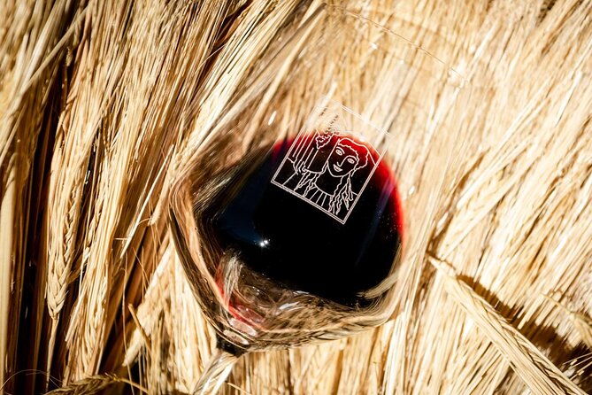 tour-and-tasting-at-an-organic-winery-in-the-heart-of-chianti-classico-area