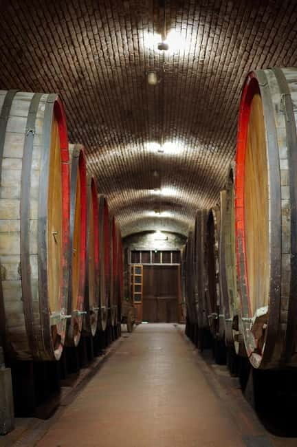 Tour and tasting at Casalbosco estate - Who Is This Tour Best Suited For?