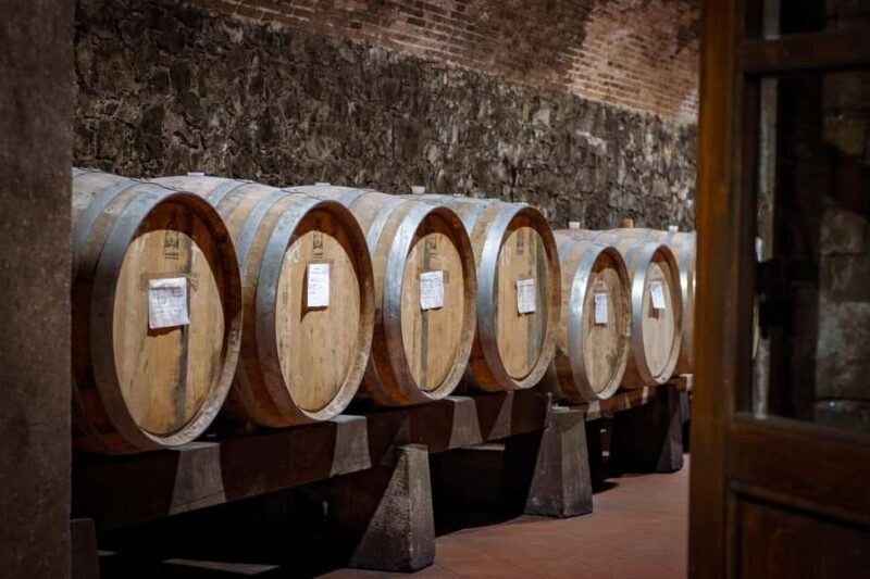 Tour and tasting at the Casalbosco estate - Key Points