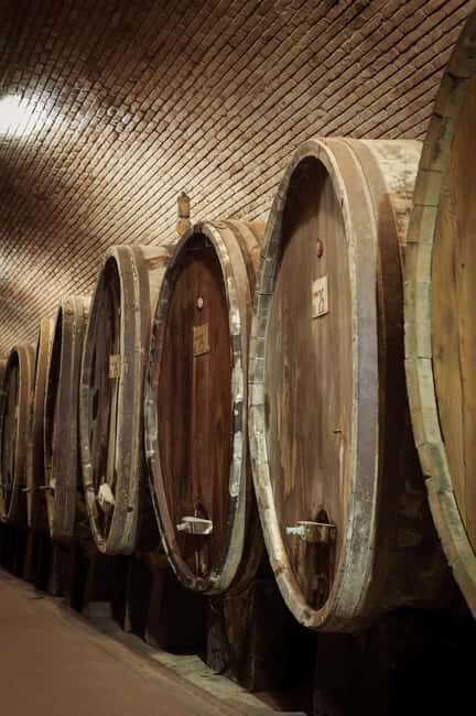 Tour and tasting at the Casalbosco estate - An In-Depth Look at the Casalbosco Estate Tour