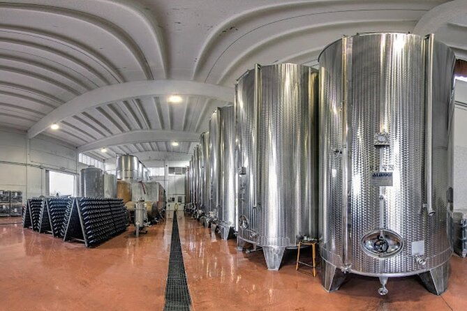 tour-and-tasting-of-sparkling-wines-in-valeggio