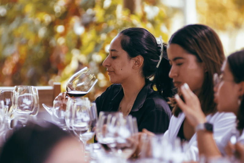 tour-and-wine-tasting-in-cuna-de-tierra