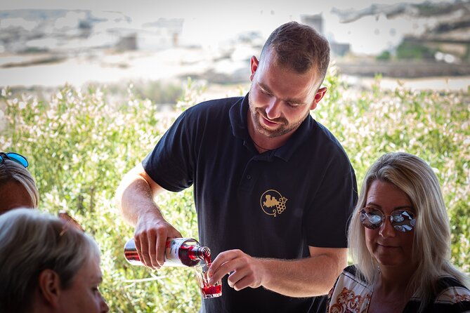tour-and-wine-tasting-in-mykonian-land