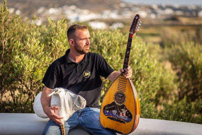 tour-and-wine-tasting-in-mykonian-land