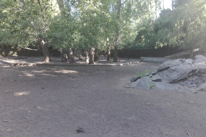 tour-around-alessandri-park-san-pedro-de-la-paz
