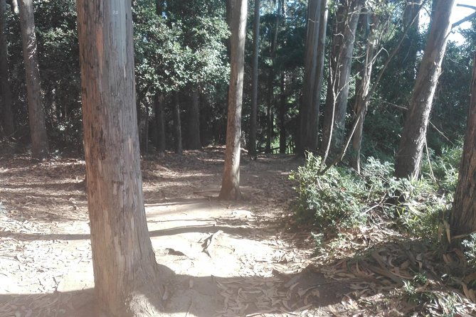 tour-around-alessandri-park-san-pedro-de-la-paz