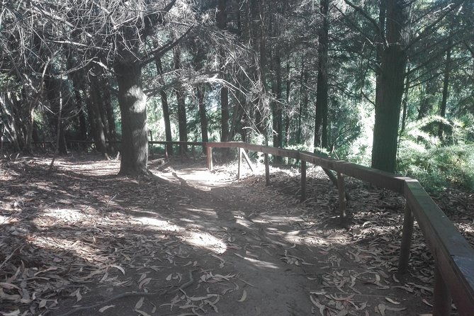 tour-around-alessandri-park-san-pedro-de-la-paz