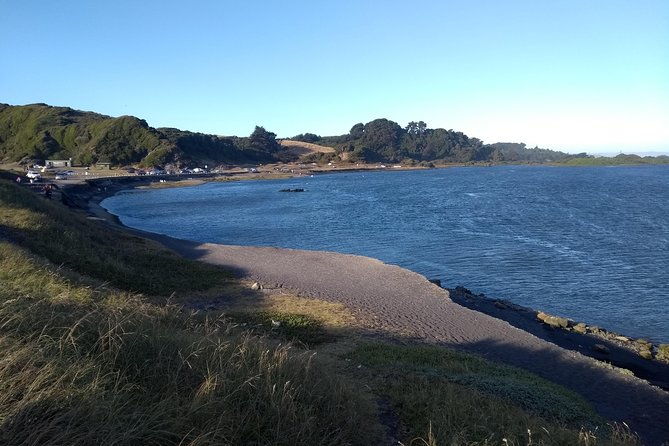 tour-around-biobio-river-estuary-pedro-del-rio-zanartu-museum