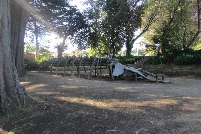 tour-around-biobio-river-estuary-pedro-del-rio-zanartu-museum