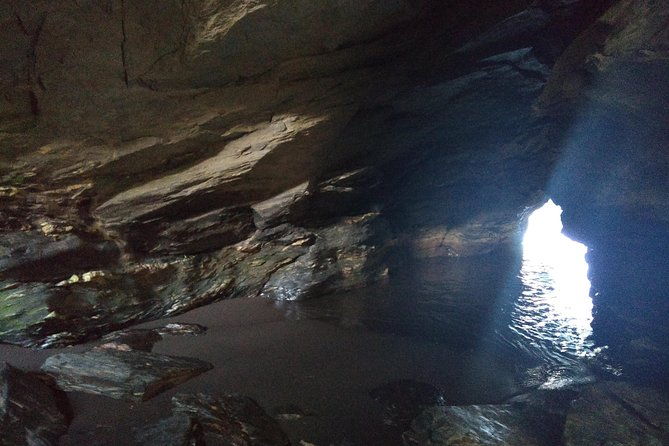 tour-around-biobio-river-estuary-pedro-del-rio-zanartu-museum