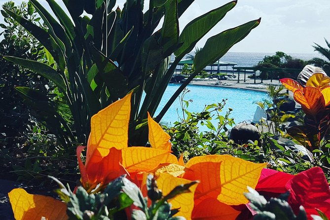 tour-around-the-island-private-vip-tour-in-tenerife-2