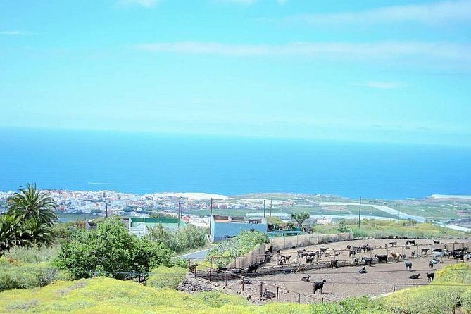 tour-around-the-island-private-vip-tour-in-tenerife-2