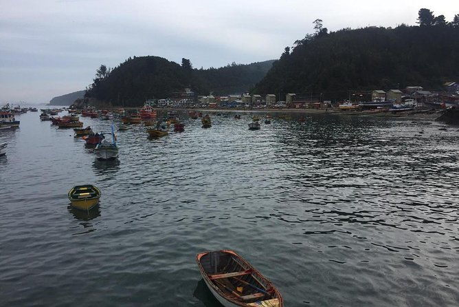 tour-around-the-port-of-talcahuano