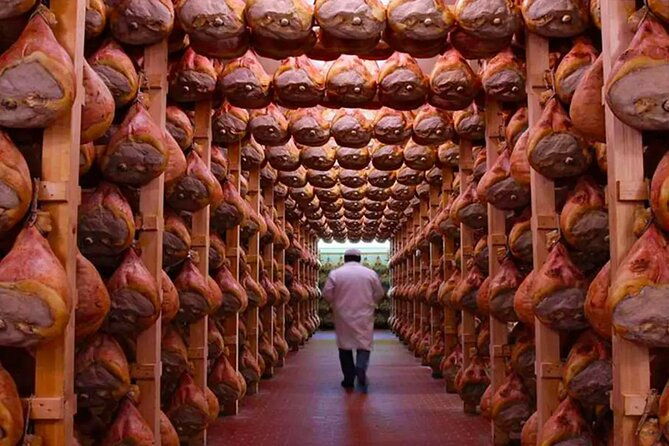 tour-at-a-parma-ham-producer
