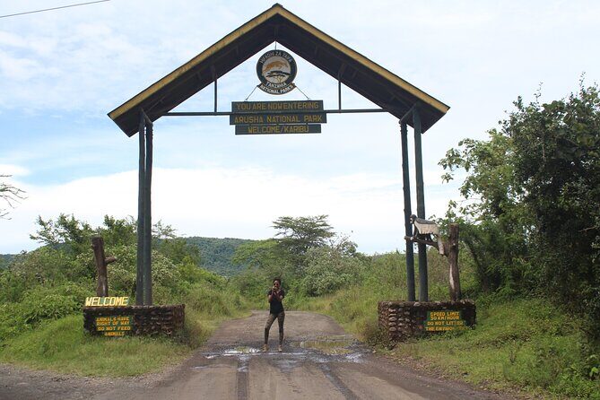 Tour at Arusha National Park - Key Points