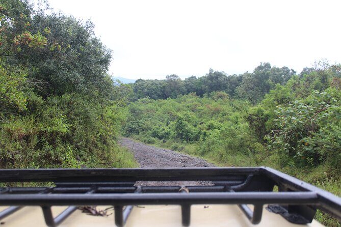 Tour at Arusha National Park - FAQs