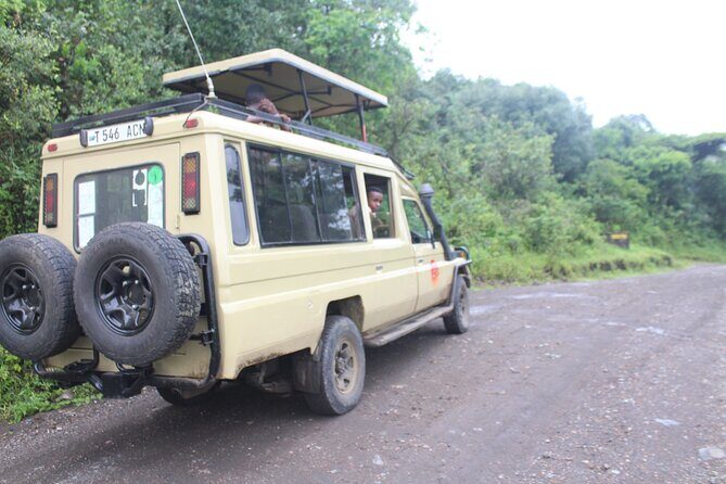 Tour at Arusha National Park - Final Thoughts