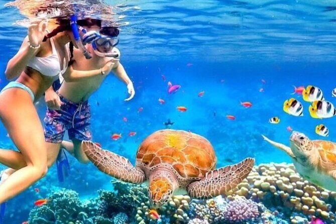 Tour Bali Blue Lagoon Snorkeling and East Bali Adventure - The Value for Money