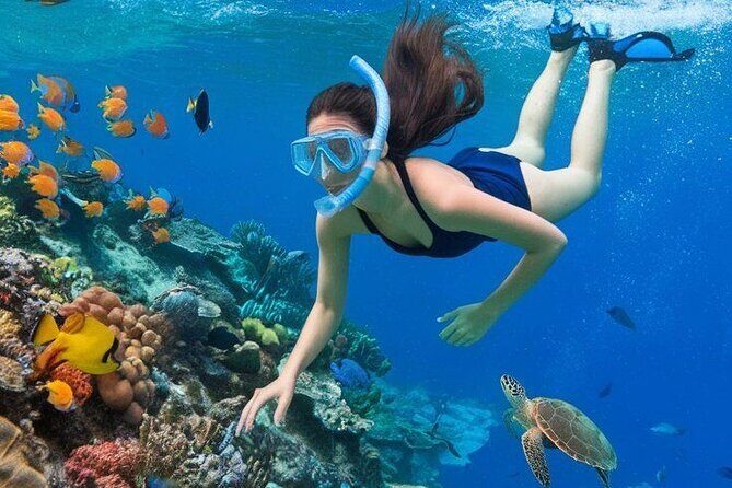 Tour Bali Blue Lagoon Snorkeling and East Bali Adventure - Who Should Consider This Tour?