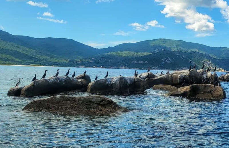 Tour bateau avec vision sous-marine/Sites classés+Baignade - The Value Proposition